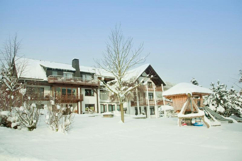 Haus Alexandra Inkl Meinecard Plus Вилинген Екстериор снимка